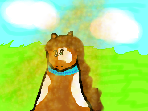 Horses CCE