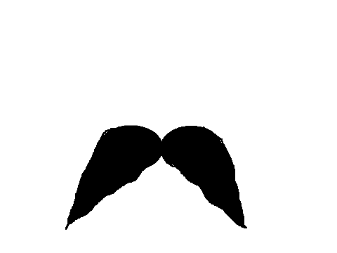 Give yourself a moustache! ={D