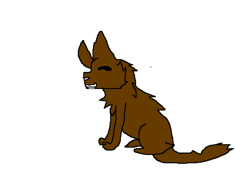 Animation