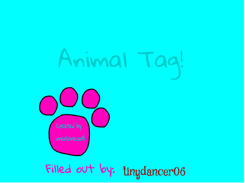 Animal Tag!