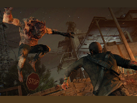 Dying Light Night Hunter (2 player)