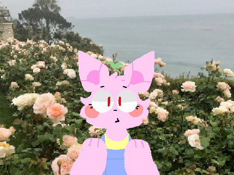 EVERYDAY//////MEME//////REMIX