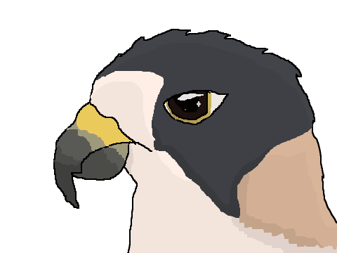 CE-Falcon
