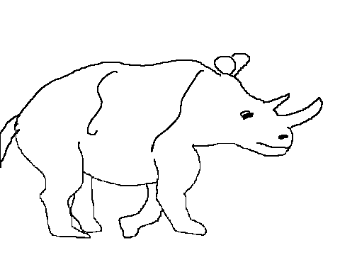 the rhino