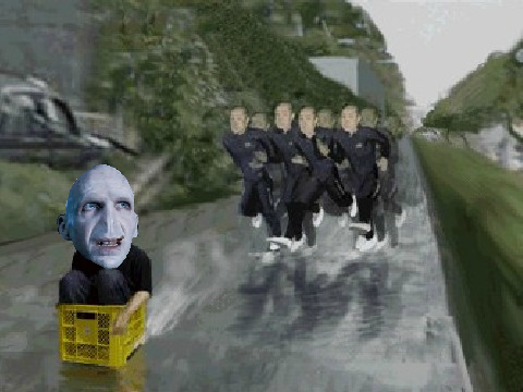 Catch that Voldemort!