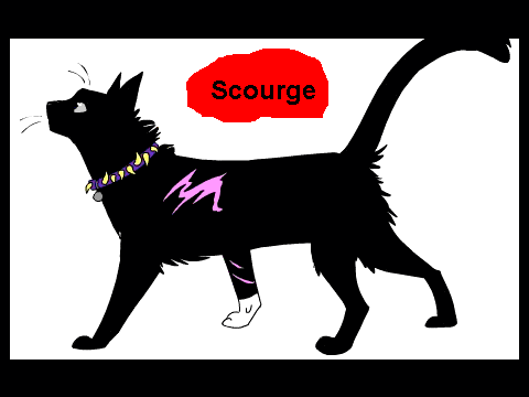 Scourge and Hauntedpelt