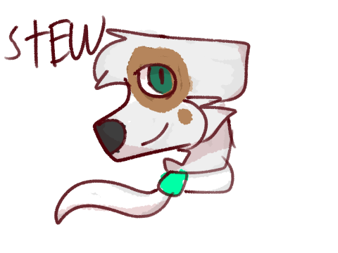 Stew