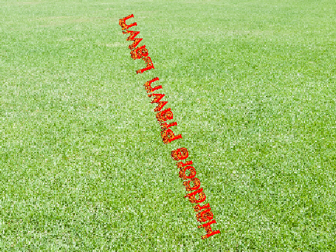 Hardcore Prawn Lawn