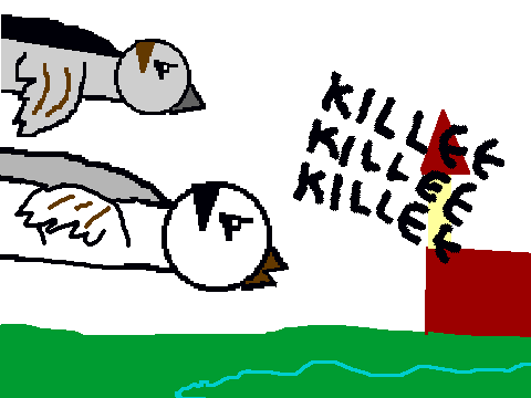 Sparra Fan Art