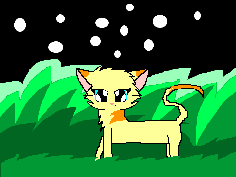 sunpaw: starlight