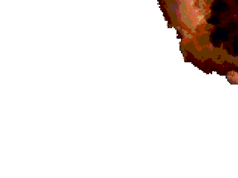 123244209