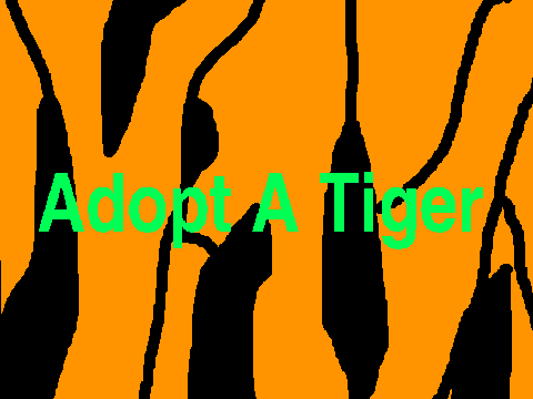 Adopt a Tiger