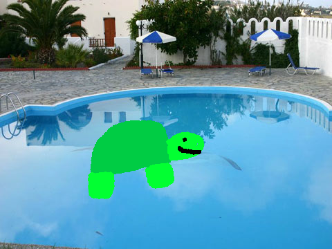 happy turtle