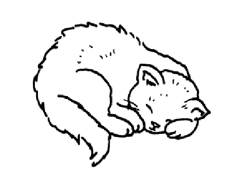 Coloring Contest!