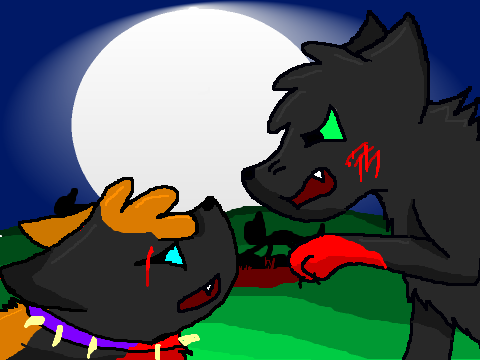 Shadowstar VS Arrowpool