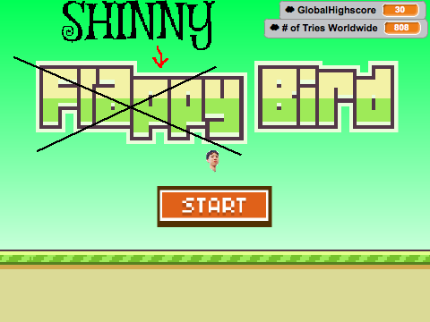 Shinny Bird