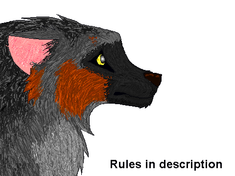 Wolf Colouring contest