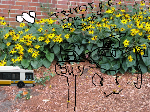 terror of the bus stop  