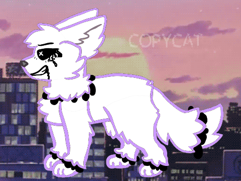 ＣＯＰＹＣＡＴ  M E M E  R E M I X