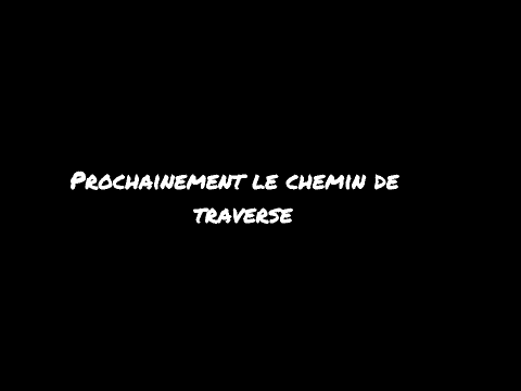 1er épisode Harry Potter et Lele Scatch48.