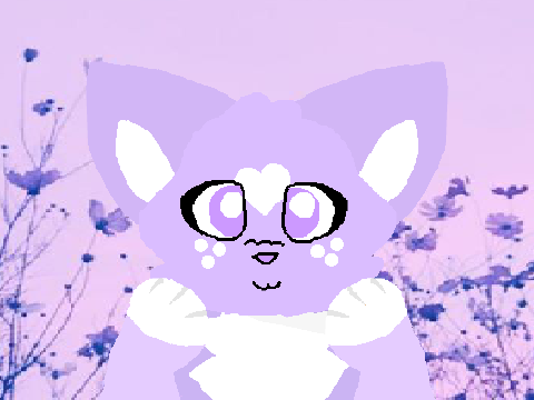 + P i l l o w T a l k +