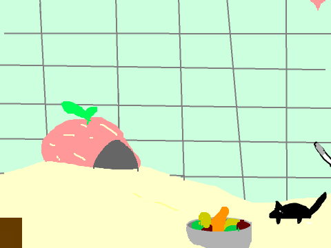 Coco's Adventure in the cage