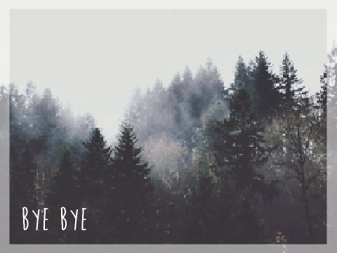 + Bye Bye + 