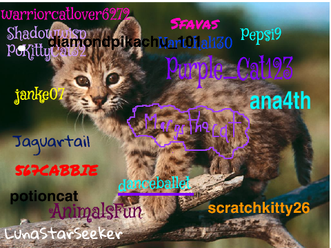 Sign here if you're against Bobcat hunting! remix remix remix remix remix remix remix-2 remi…… remix