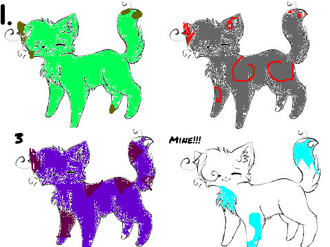Cat adoptables