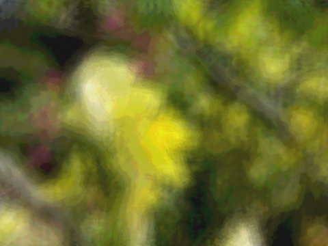 Blur Generator