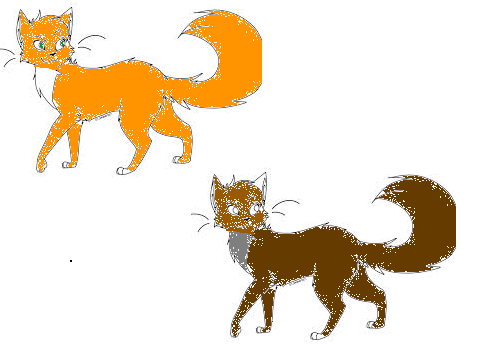 More cat aDOPTABLES!