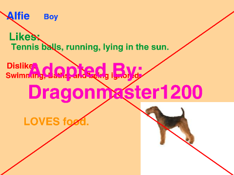 Bell's Animal Adoption!