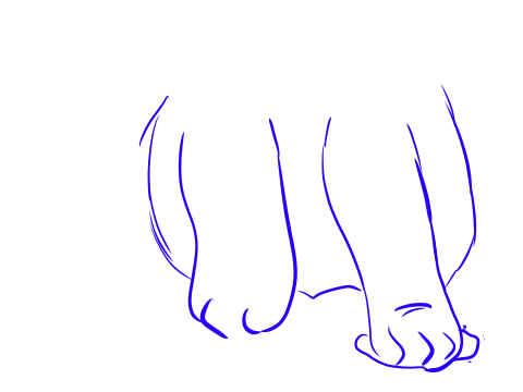 Hollyleaf smashing berries to death