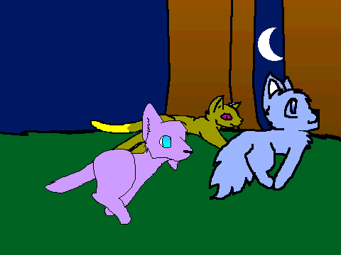 Remix_your_cat_running_through_the_forest_[1][1]