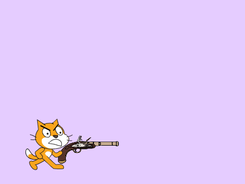 Cat shoot A  Grayfox5000 Foe. (fad)