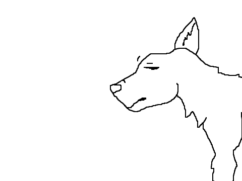 Honestly? - Wolf Animation.