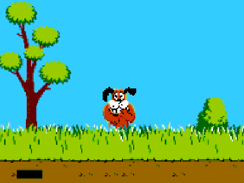 Duck Hunt