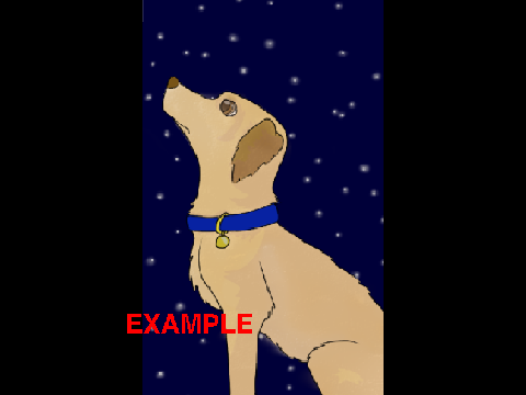 Open Dog CC