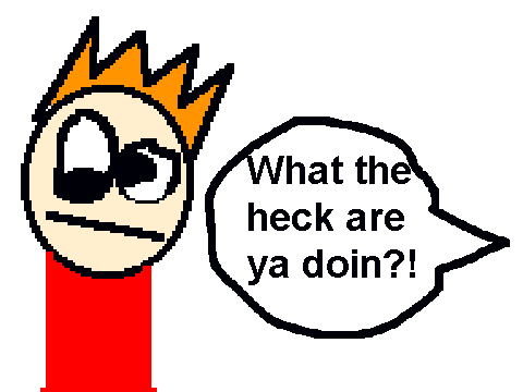 What The Heck Are Ya Doin!