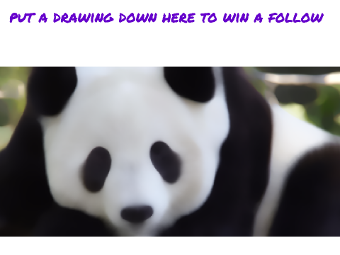 Panda art!