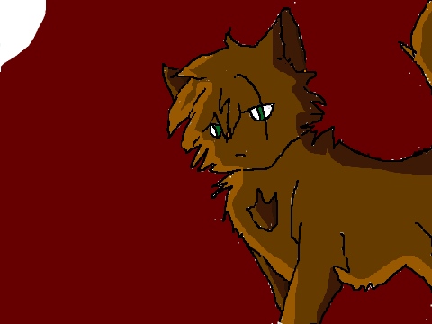 Warrior Cats CCE