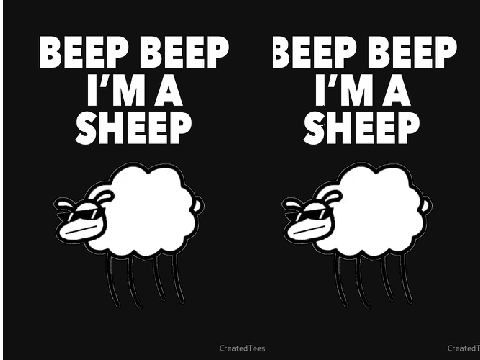 Beep beep I'm a sheep