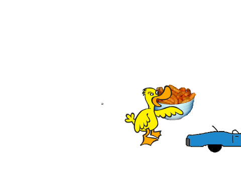 duck stuff for fun