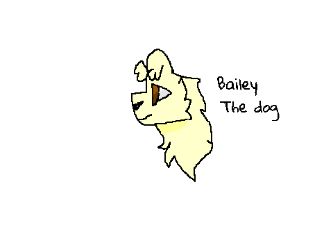 My new Characters ( IRL Pets )