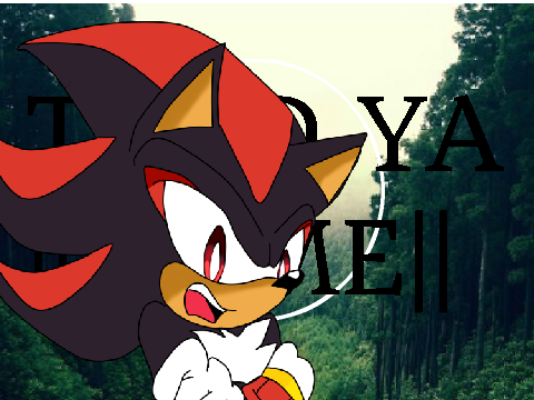 Told ya|| Meme ft.Sonic Fandom