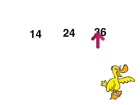 TF Duck doing Math - debug-2