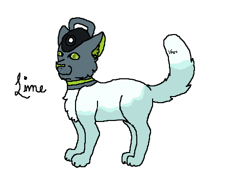 - Water Bottle Cats - Lime and Stream