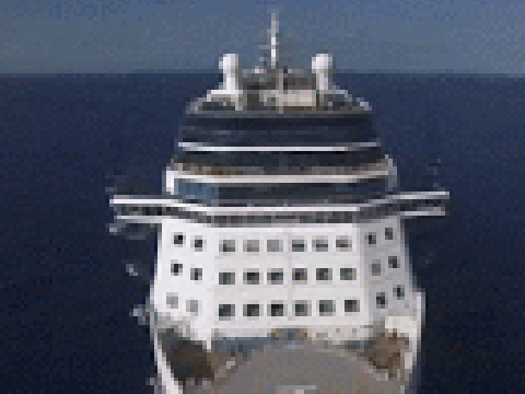 Celebirty Millennium Gif