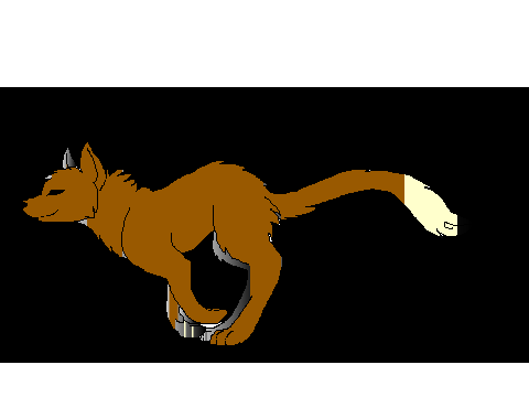 colorful wolf animation with believer song