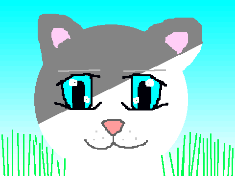 White and grey cat